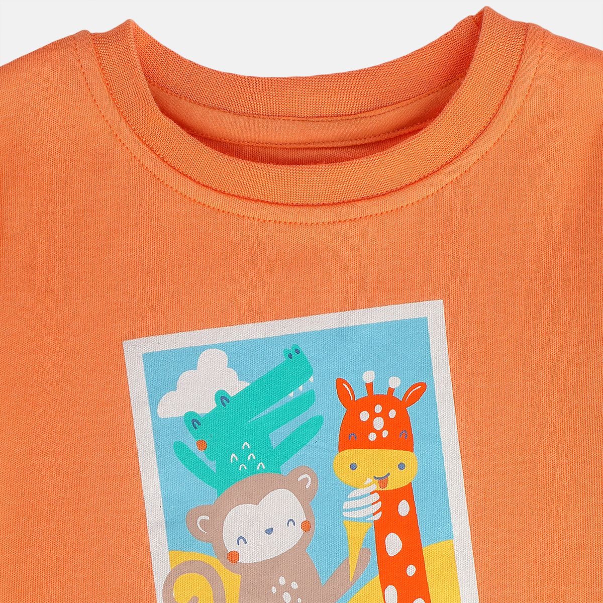 Boys Multi T-Shirt