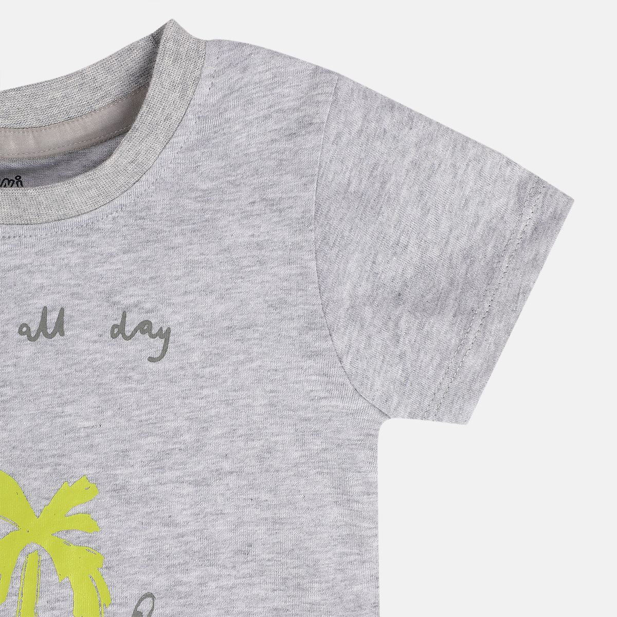 Boys Multi T-Shirt