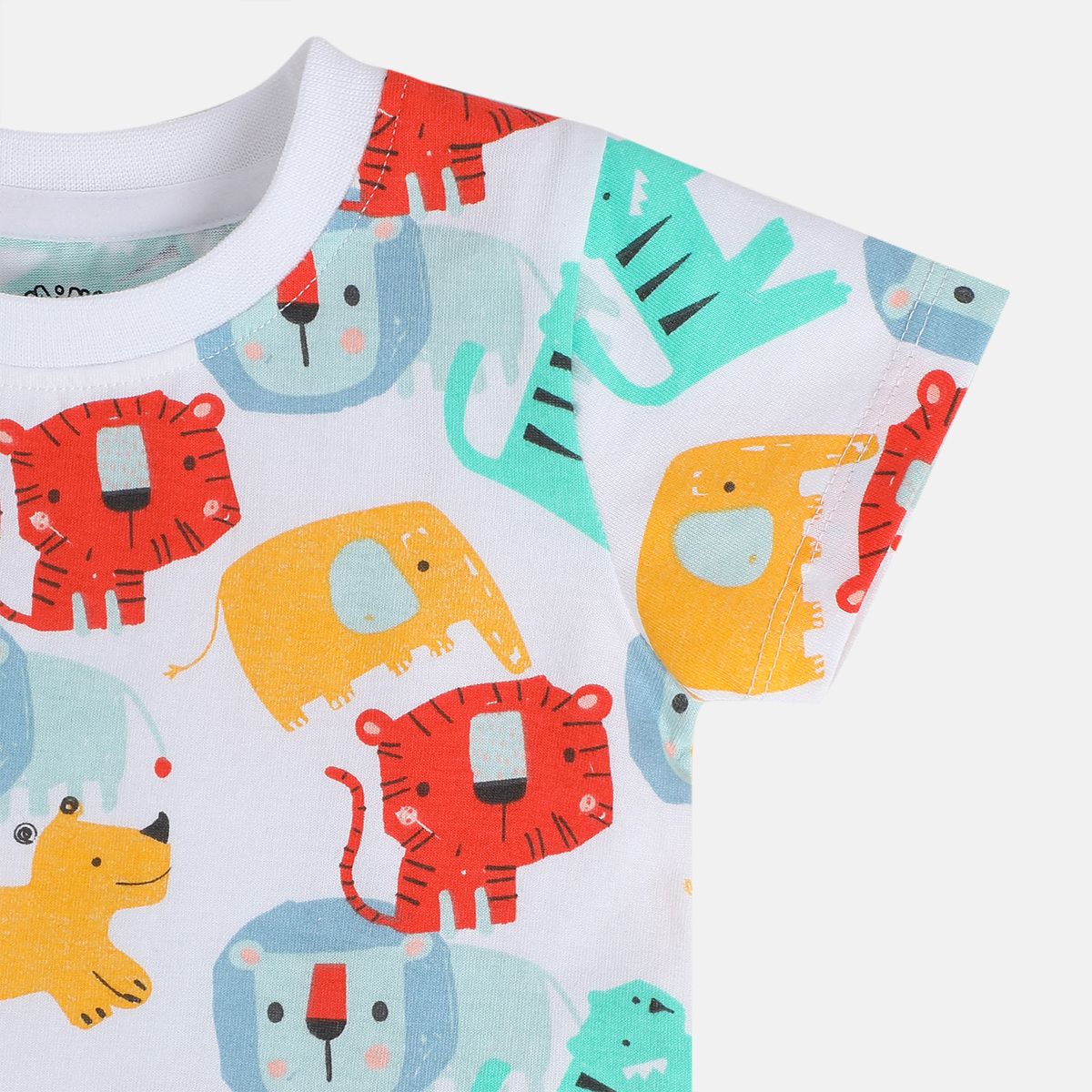 Boys Multi T-Shirt