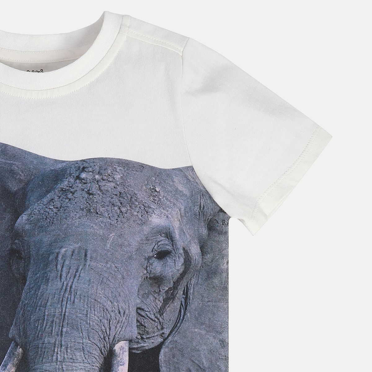 Boys Green T-Shirt
