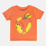 Girls Orange Pack Of 1 Knit Top