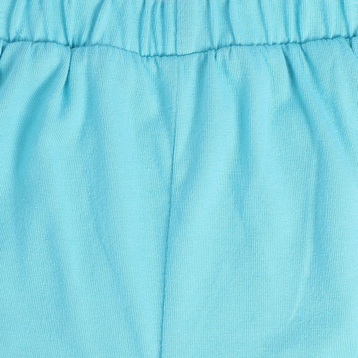 Baby Boys Aqua Blue, White and Sage Green Cotton Shorts Pack of 2 Regular Fit Everyday Wear