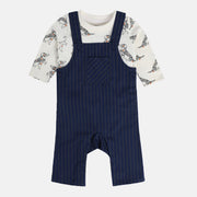 Boys Grey Pack Of 2 Dungaree Set
