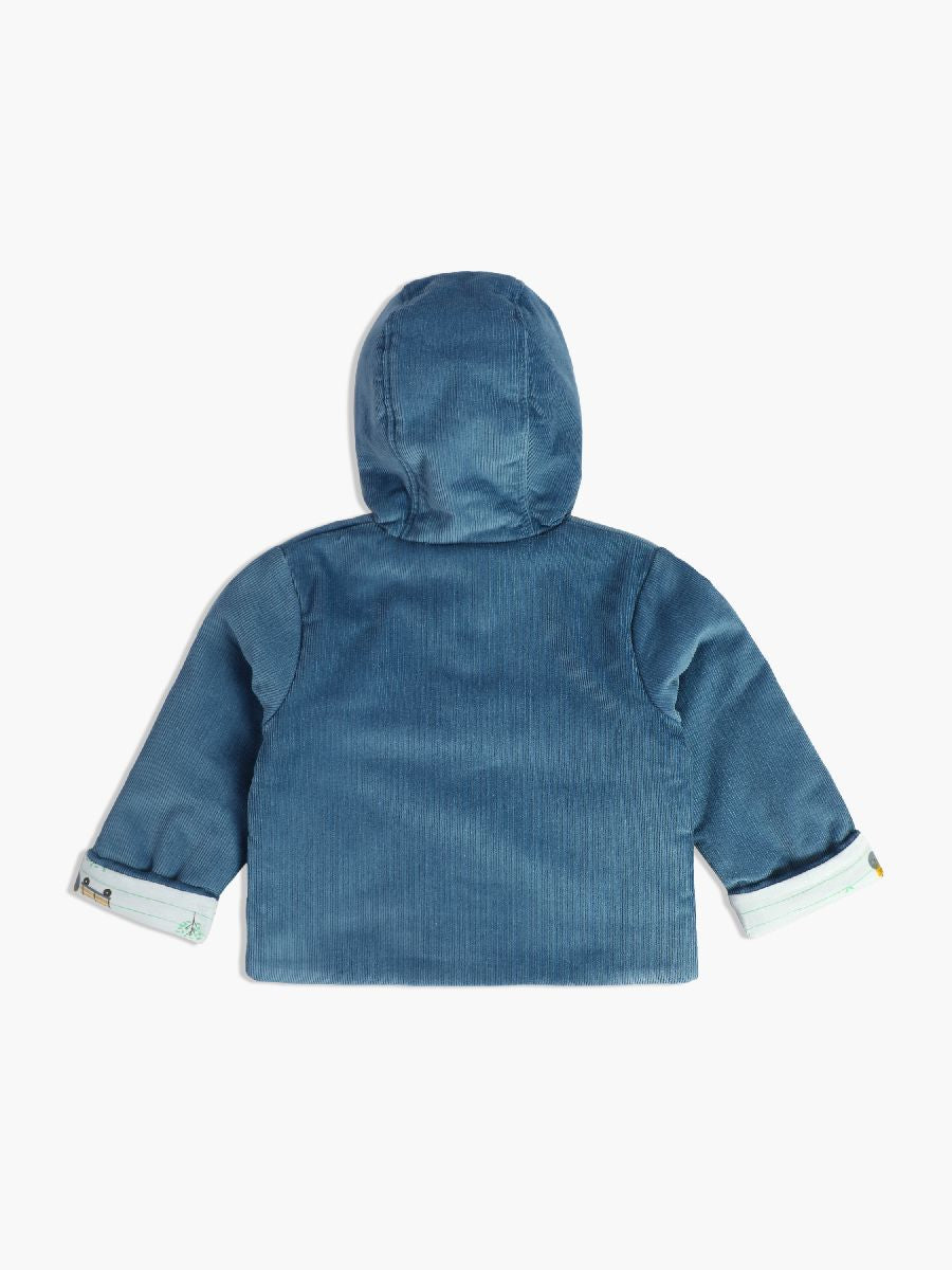 Minicuddles Boys Baby Jacket - Blue