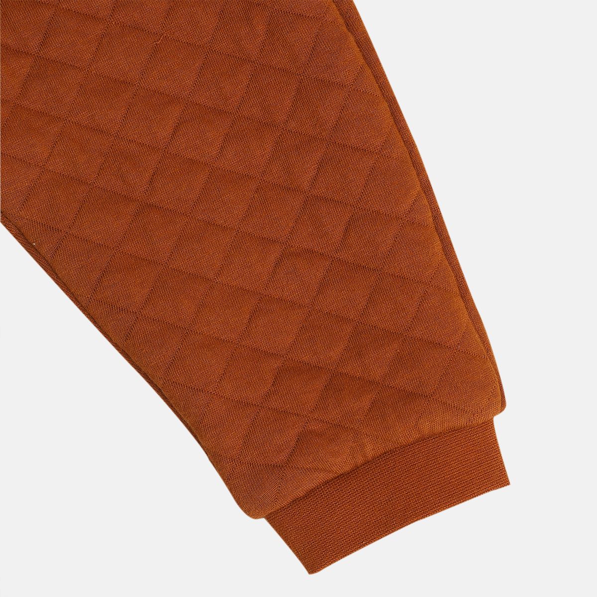 Boys Brown Jogger