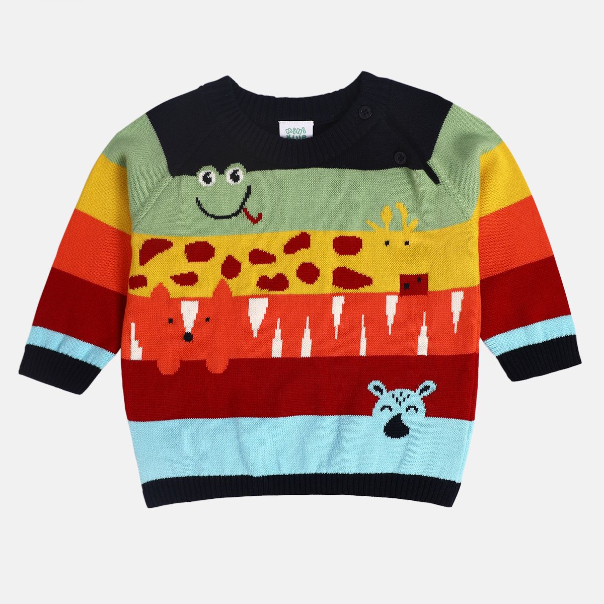 Boys Multi Sweater