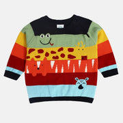 Boys Multi Sweater