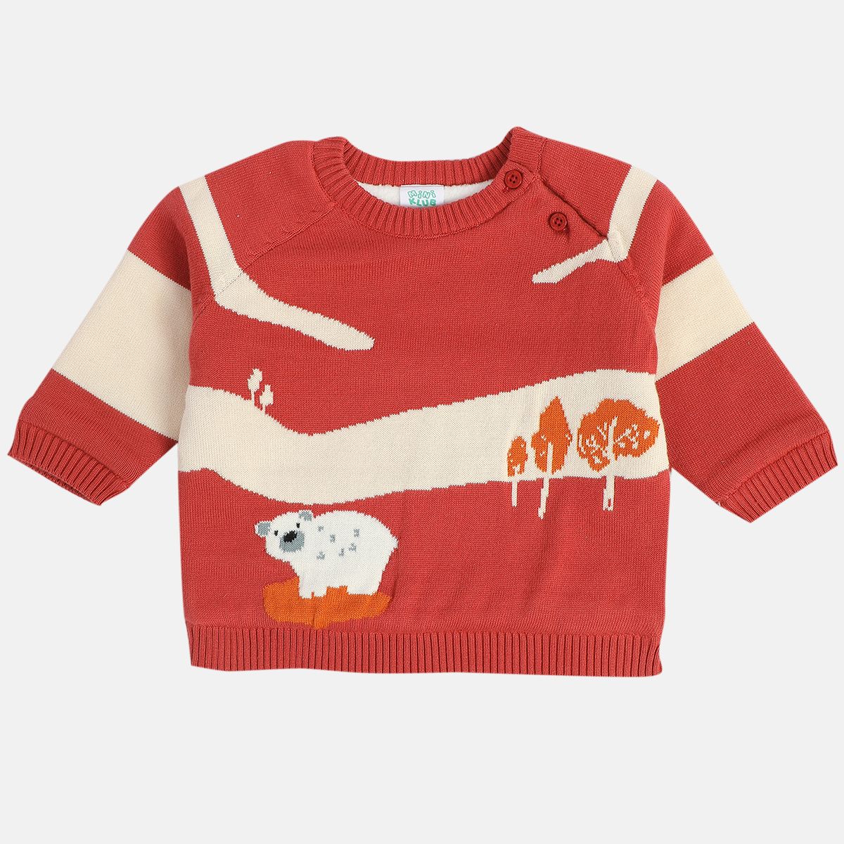 Boys Red Sweater