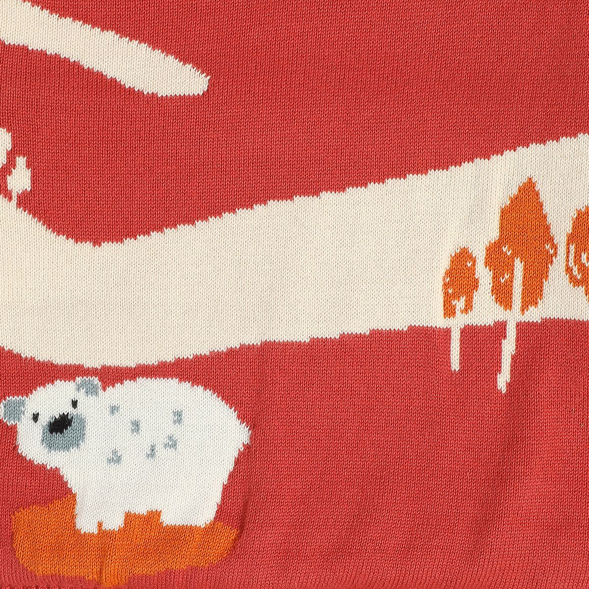 Boys Red Sweater