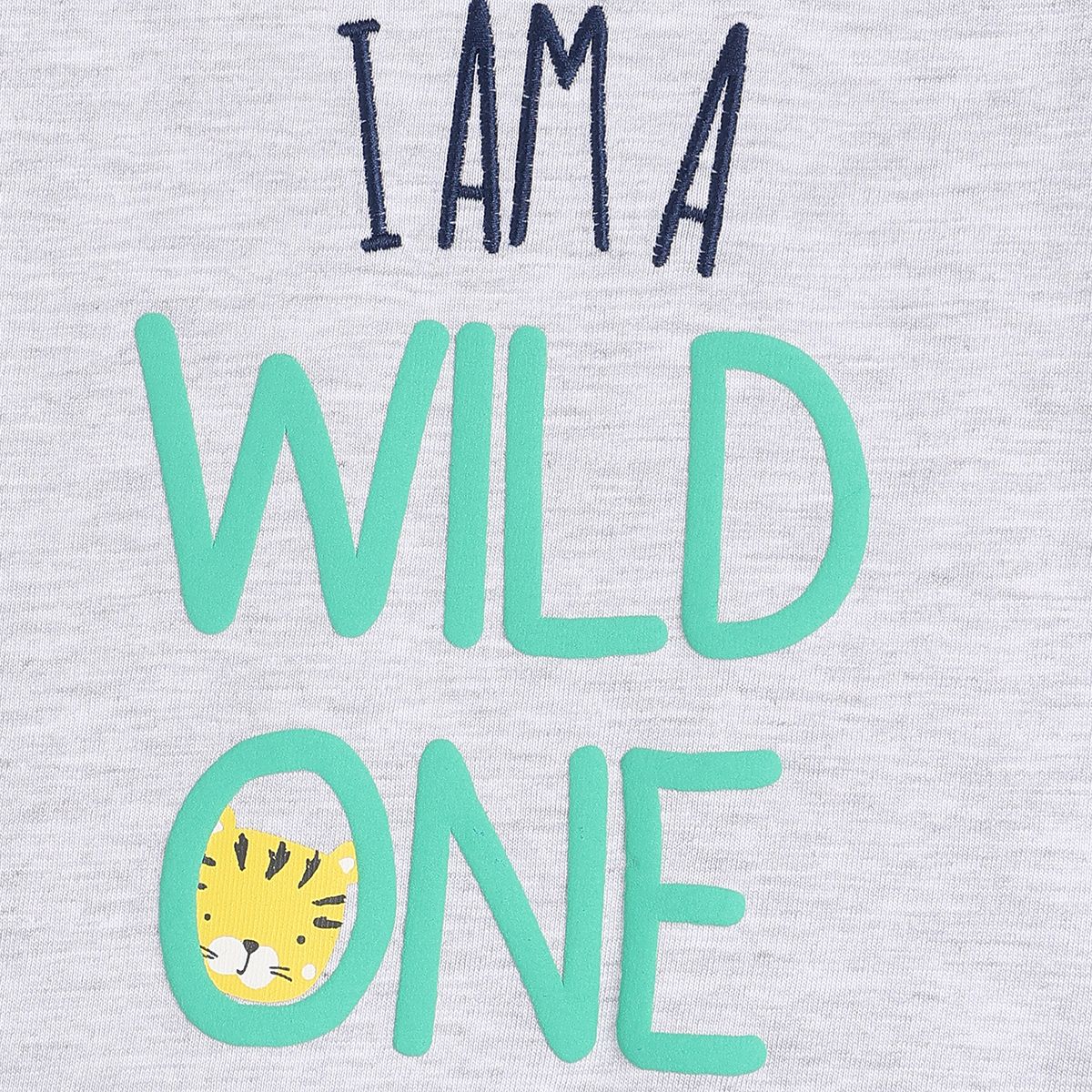 Boys Grey T-Shirt And Bottom