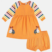 Girls Orange Knee Length Dress