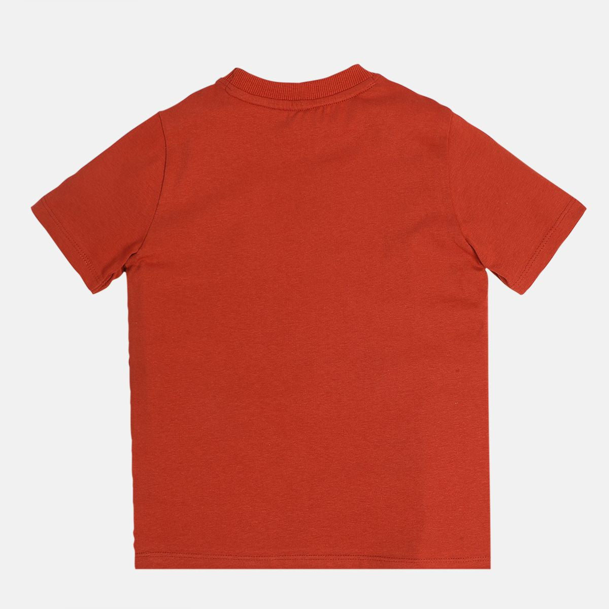Boys Rust T-Shirt