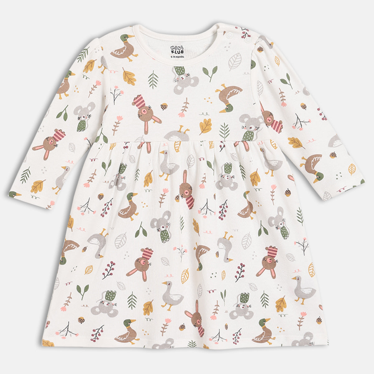 Girls Pack Of 2 Round Neck Full Sleeve Dress - Multi