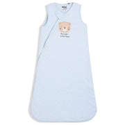 Boys Blue   Sleep Bag