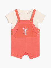 Boys Multi Dungaree Set