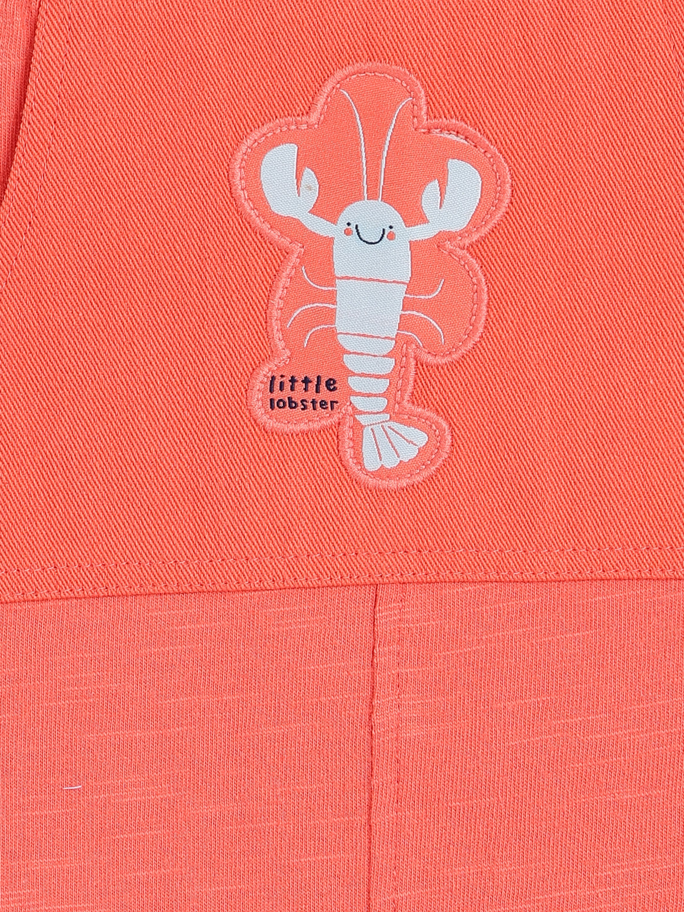 Boys Multi Dungaree Set