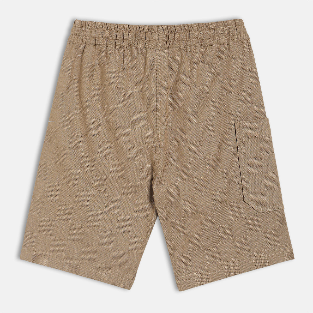 Boys Brown Shorts