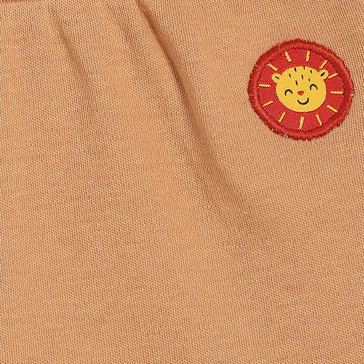 Boys Multi Shorts