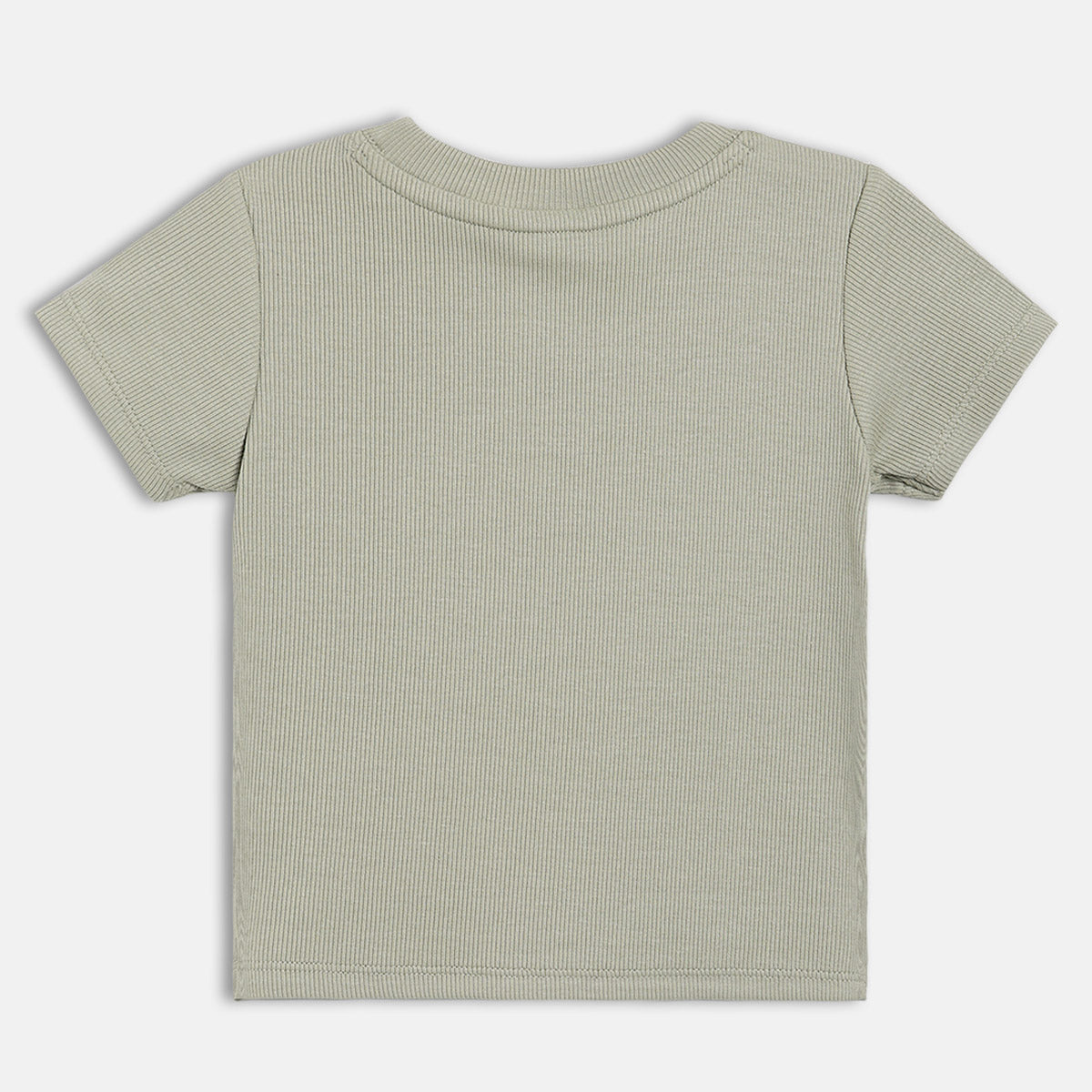 Baby Boys Sage Green and White Cotton Animal Printed and Appliqué T-Shirts Pack of 2 Regular Fit Casual Wear