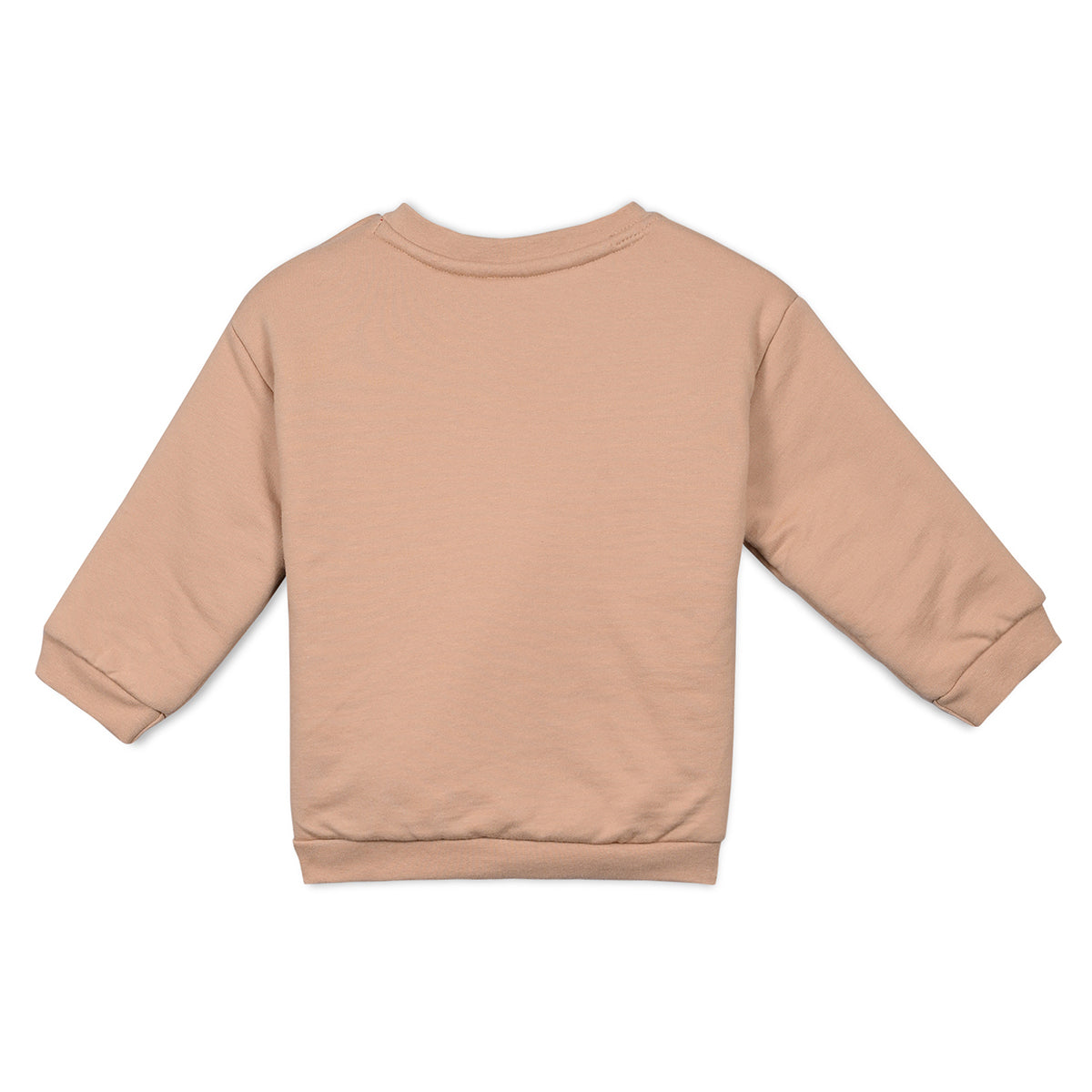 Brown Baby Boys Round Neck Full Sleeve Sweat Shirt