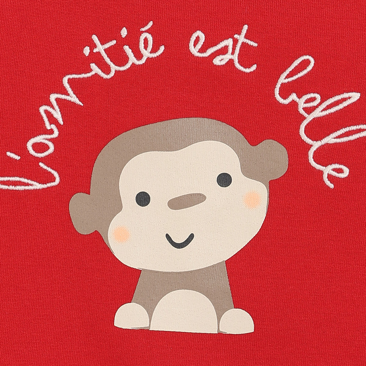 Boys Cotton Full Sleeves Animal Printed Sweatshirt - Red