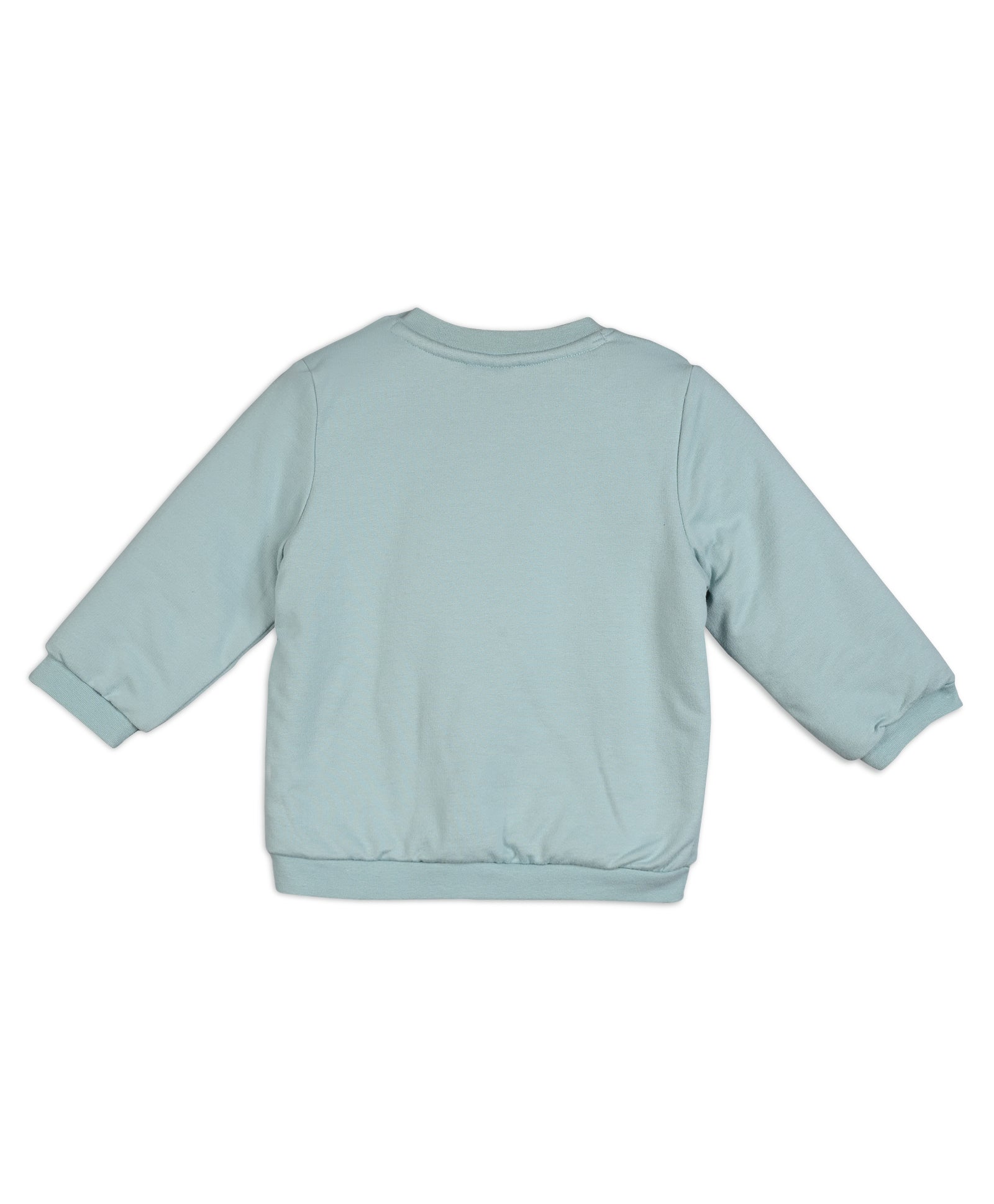 Blue Baby Boys Round Neck Full Sleeve Sweat Shirt