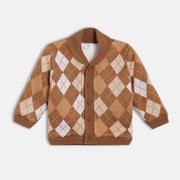 Boys Brown V-Neck Full Sleeve Sweater