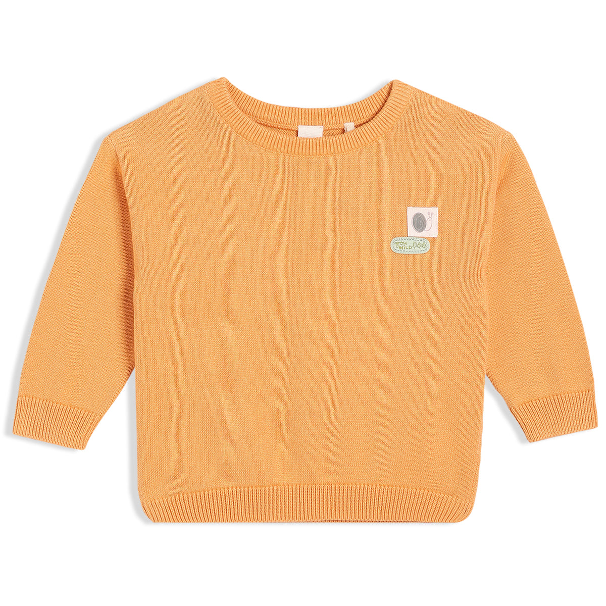 Boys Orange Round Neck Full Sleeve Sweater