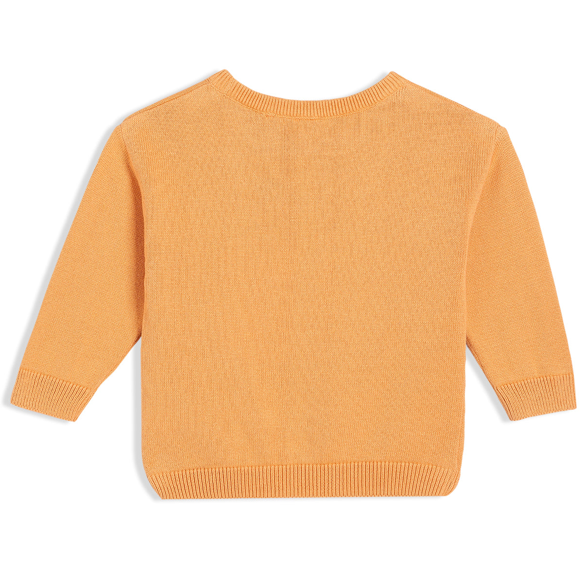 Boys Orange Round Neck Full Sleeve Sweater