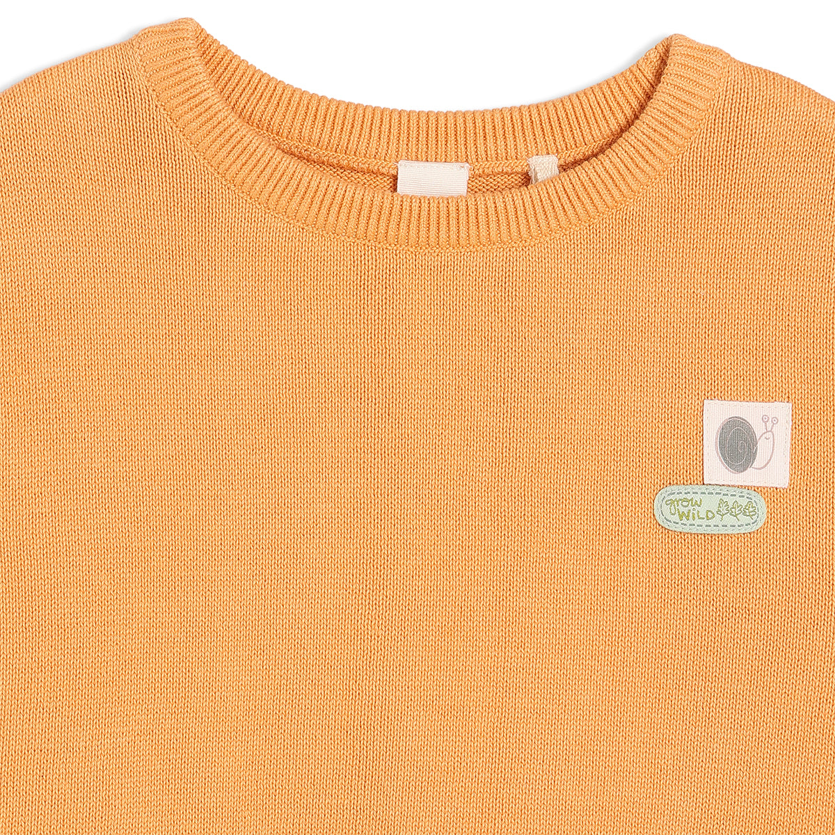 Boys Orange Round Neck Full Sleeve Sweater