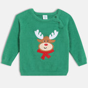 Boys Round Neck Full Sleeve Sweater - Green