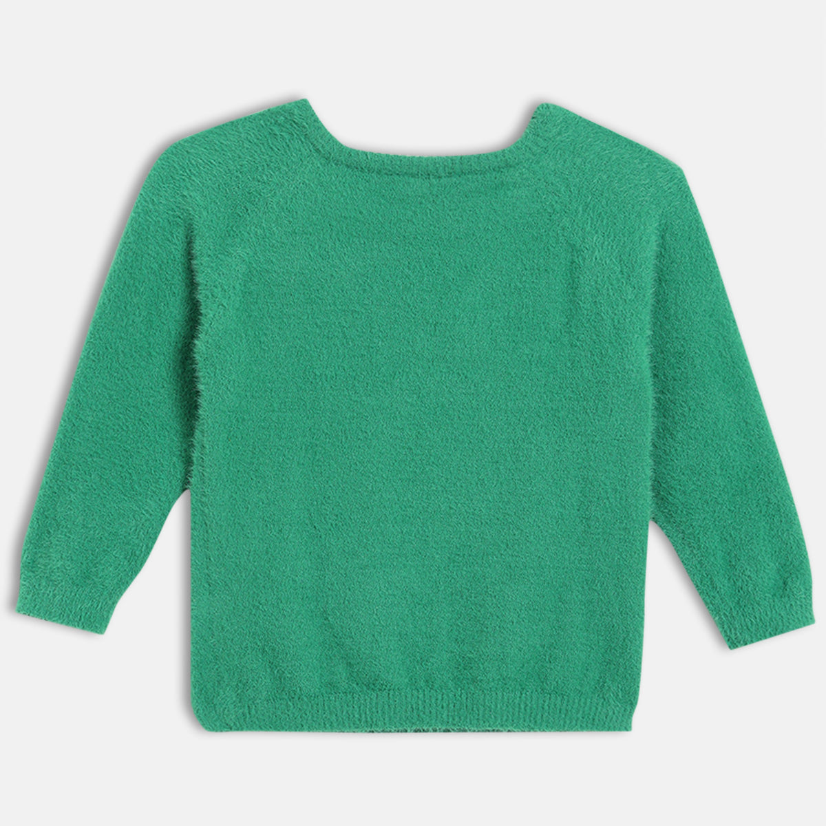 Boys Round Neck Full Sleeve Sweater - Green