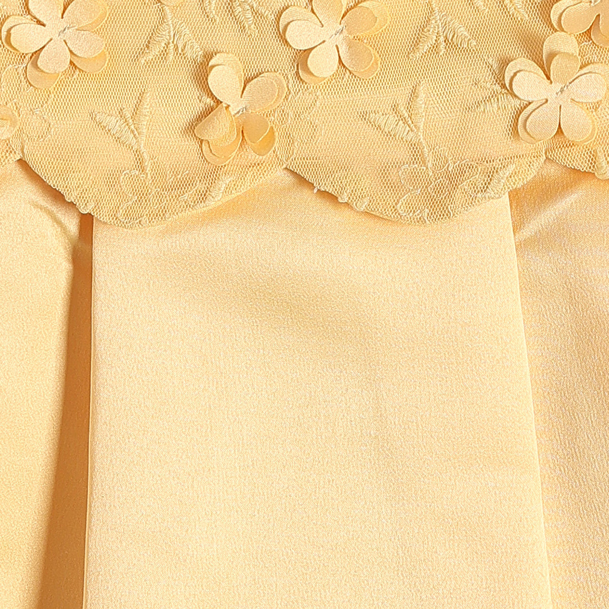 Baby Girls Yellow Floral Applique Fit and Flare Party Dress Regular Fit Sleeveless Western Wear