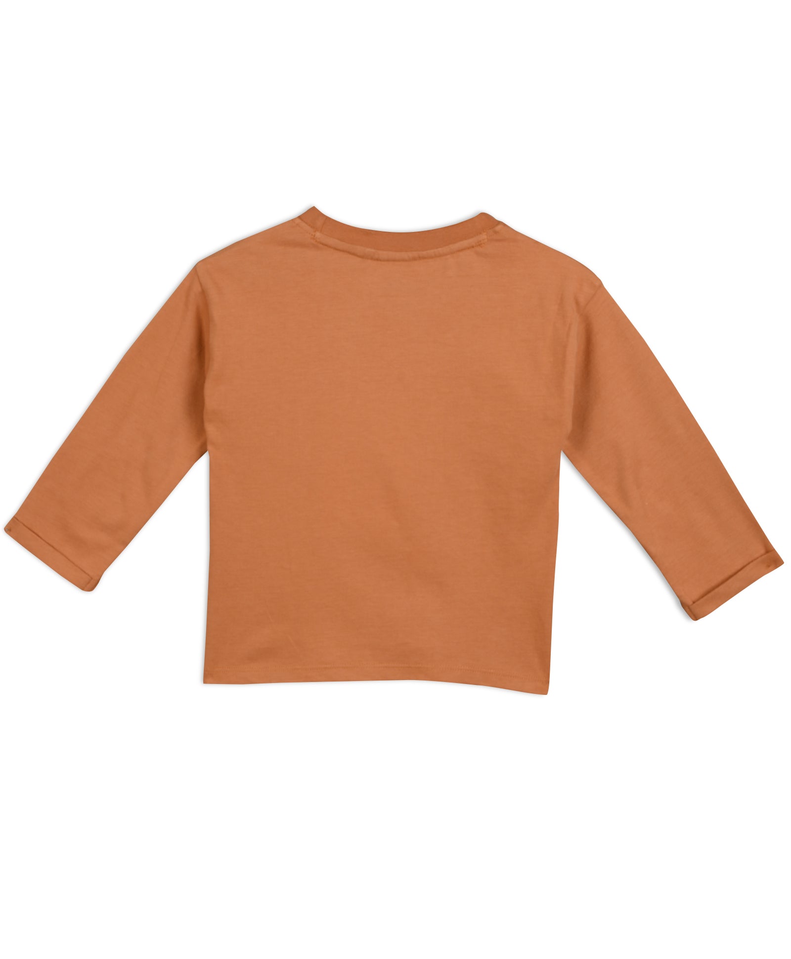 Baby Unisex Graphic Printed Top, Brown