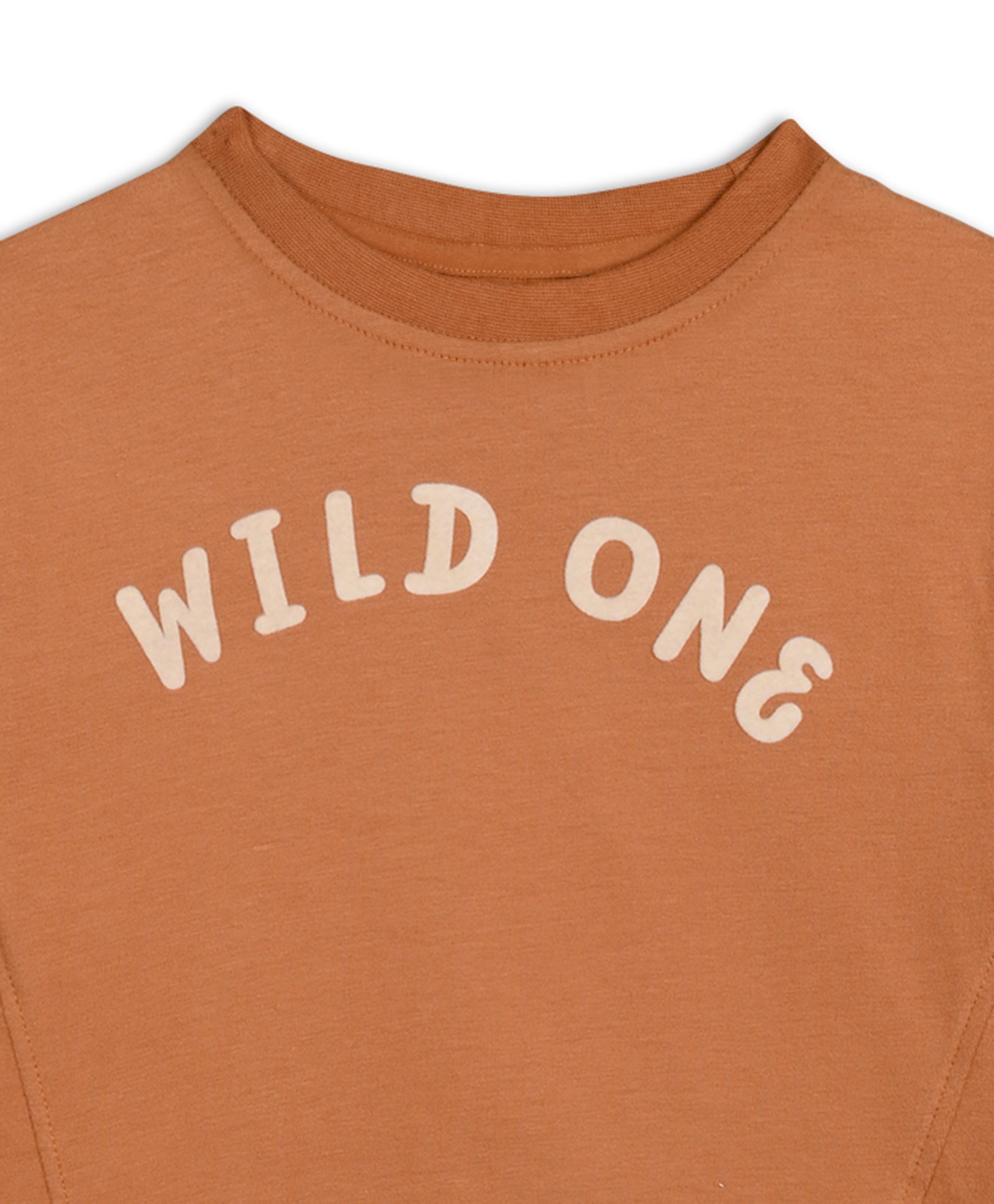 Baby Unisex Graphic Printed Top, Brown