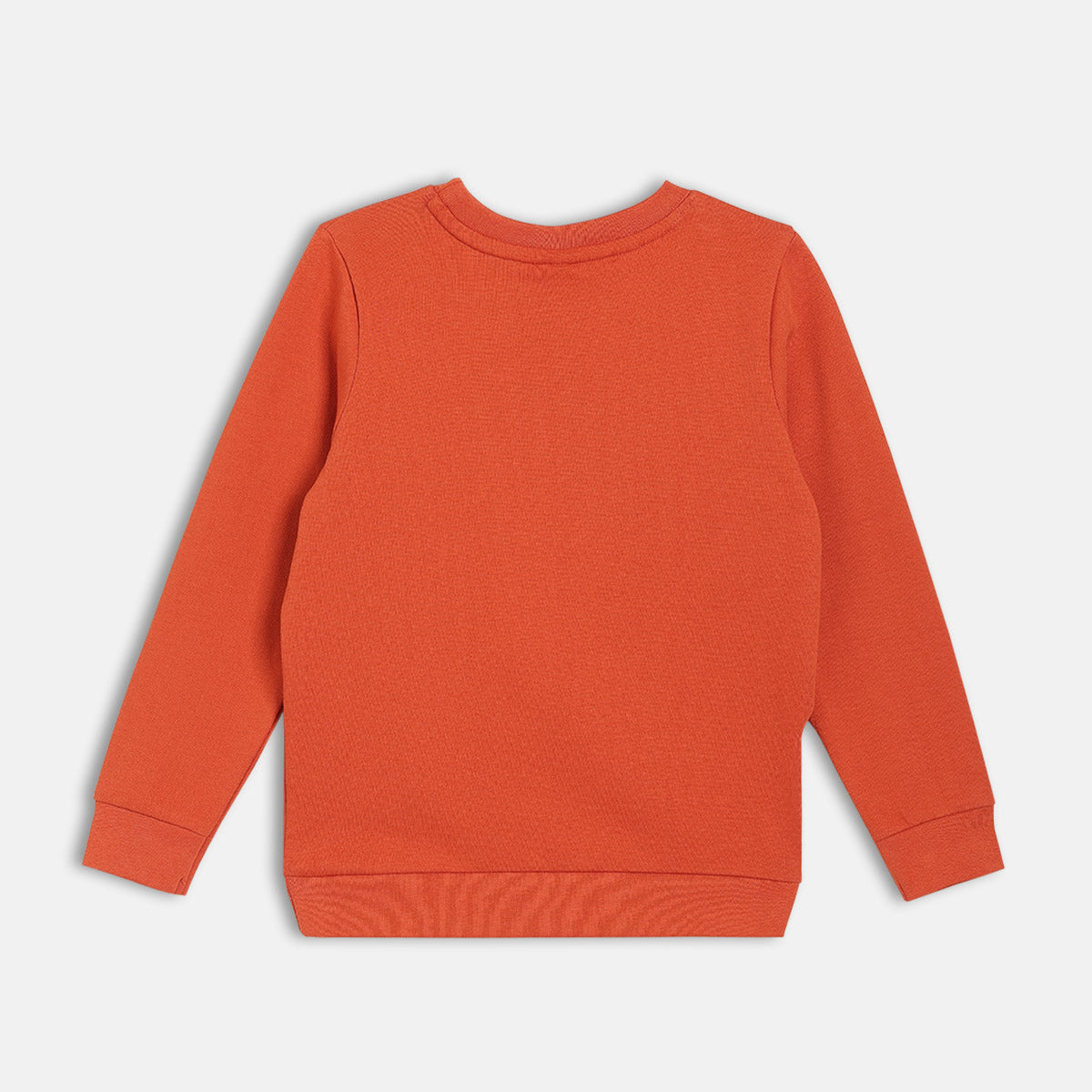 Boys Rust Solid Sweat Shirt