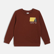 Boys Brown Solid Sweat Shirt