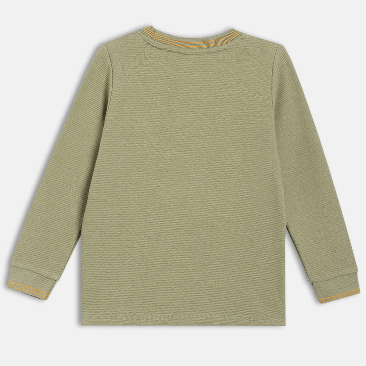 Boys Olive Round Neck Full Sleeve T-Shirt