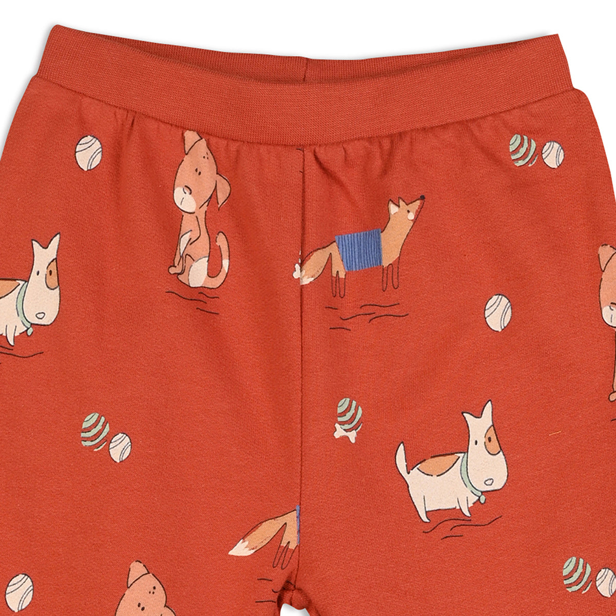 Boys Cotton Pack Of 2 Animal Printed & Solid Knit Bottoms - Olive & Rust