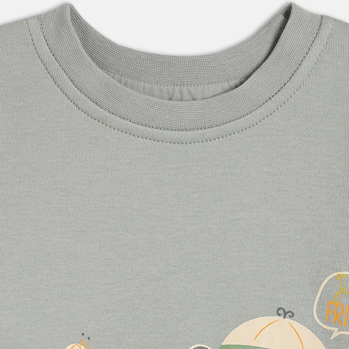 Boys Cotton Pack Of 2 Full Sleeves Animal Printed & Striped T-Shirts - Grey & Green