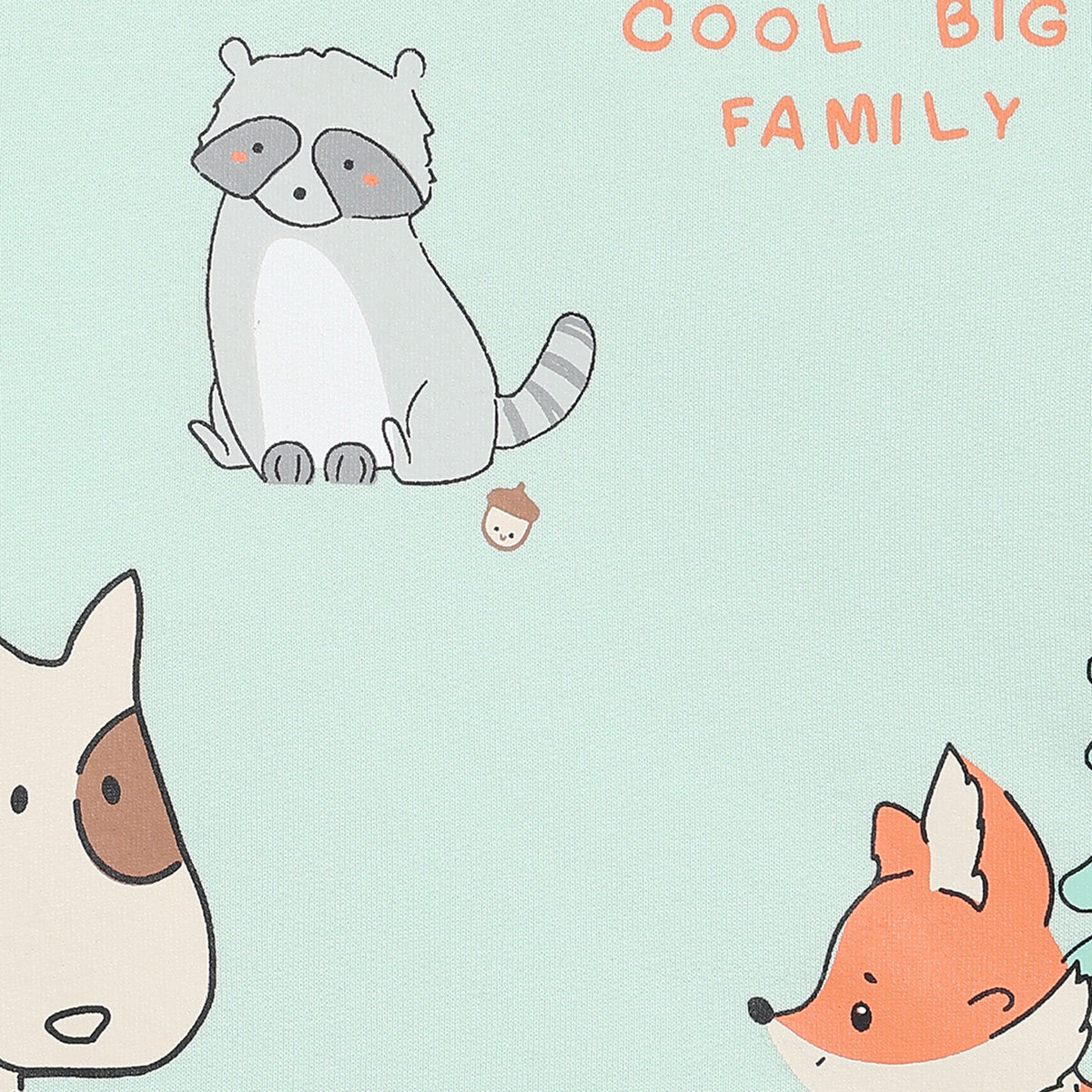 Boys Full Sleeve Printed T-shirt - Mint Green & Blue