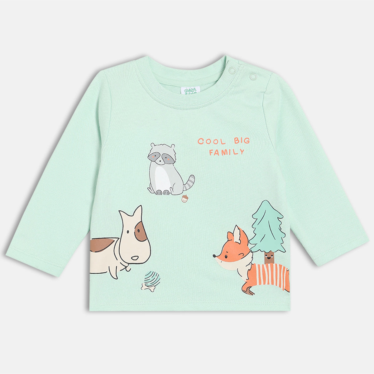 Boys Full Sleeve Printed T-shirt - Mint Green & Blue