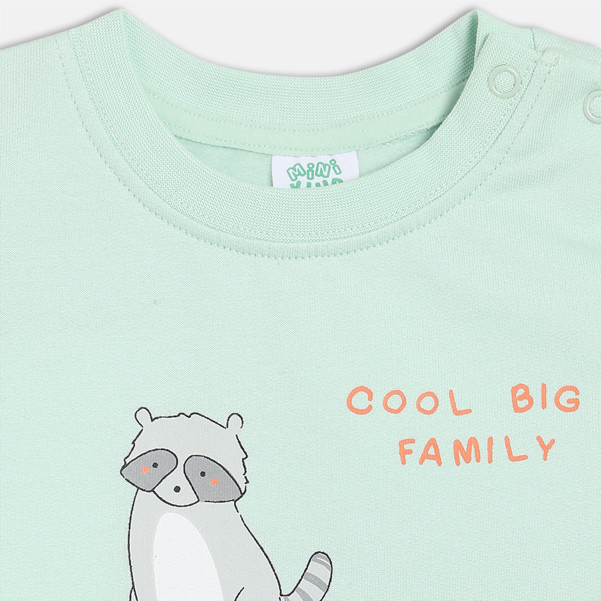 Boys Full Sleeve Printed T-shirt - Mint Green & Blue