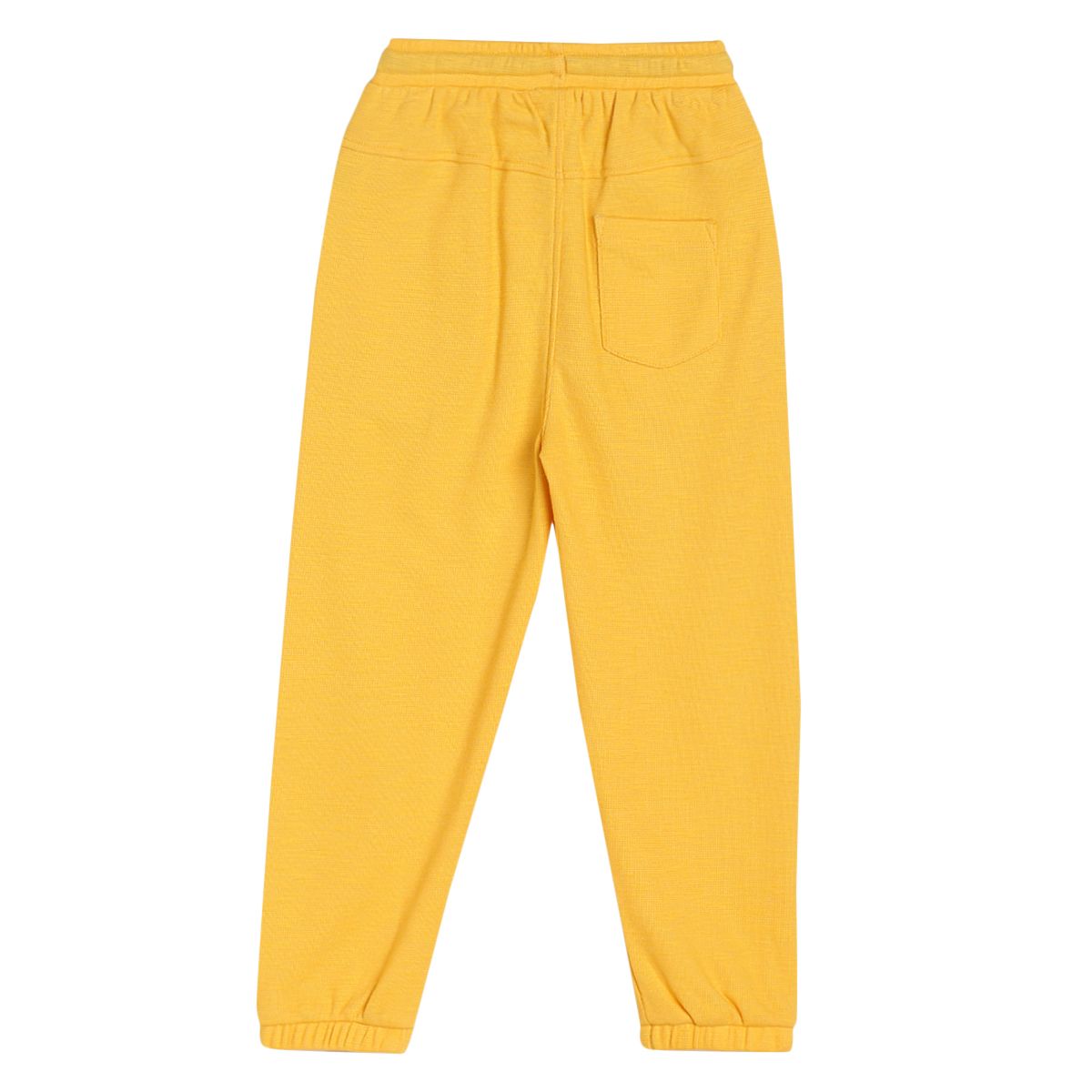 Boys Yellow Pack Of 1 Jogger