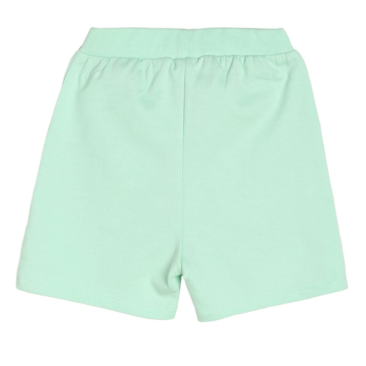 Girls Mint Pack Of 1 Shorts