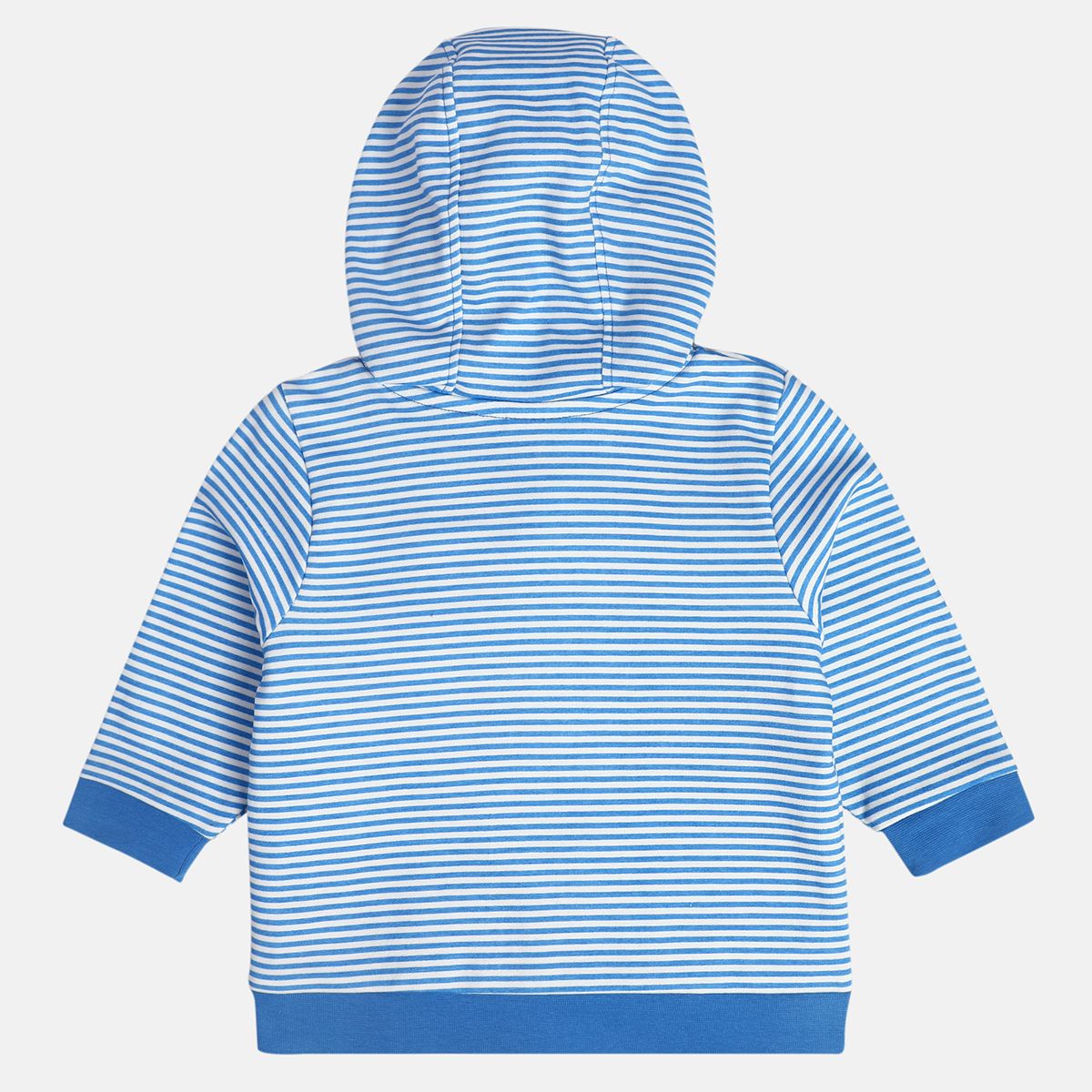 Boys Blue Hooded Full Sleeves Jacket