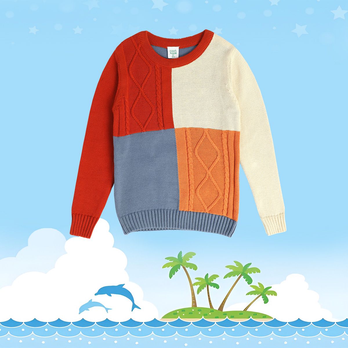 Boys Orange Sweater