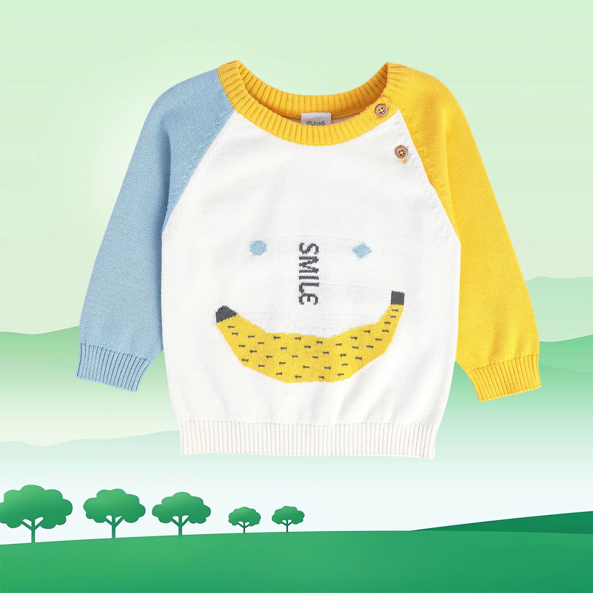 Boys Multicolor Pack Of 1 Sweater