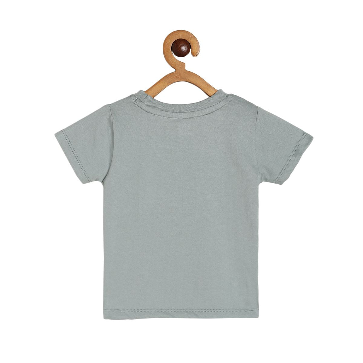 Boys Multicolor Pack Of 1 T-Shirt