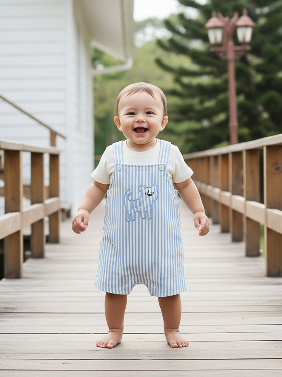 Baby Boys Striped Dungaree Set, Multicolour